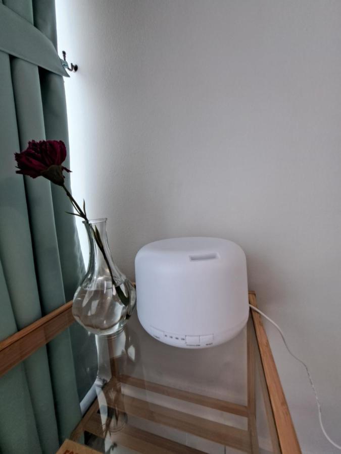 Cozy Home Country Garden At Dangabay Of Jb, Free Wifi And Streaming Johor Bahru Kültér fotó